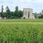 St.Emilion