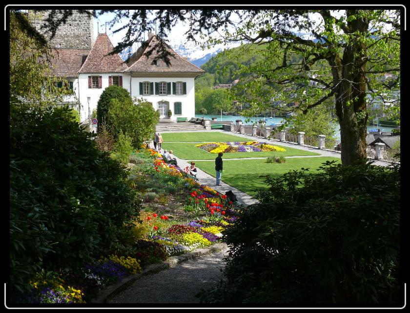 Click for the original image