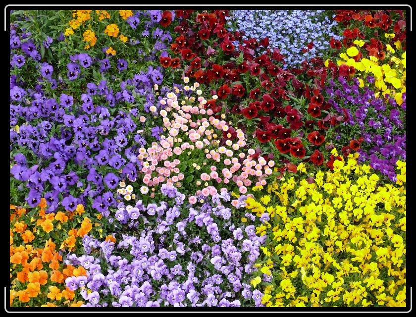 Click for the original image