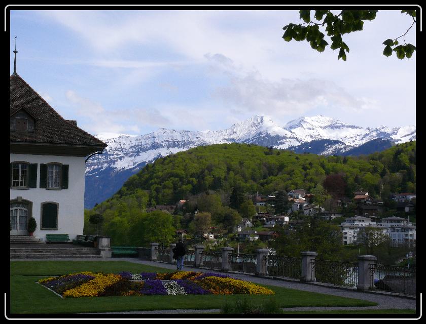 Click for the original image