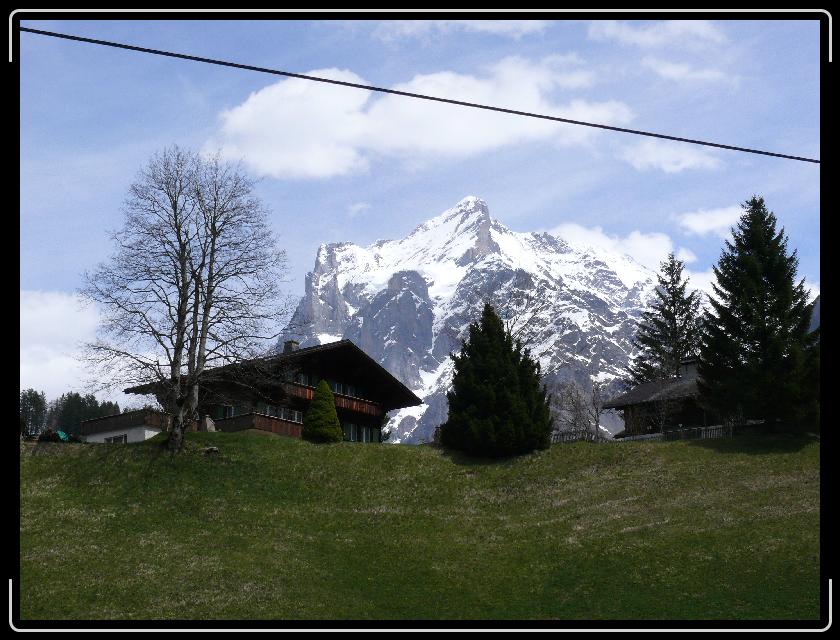 Click for the original image