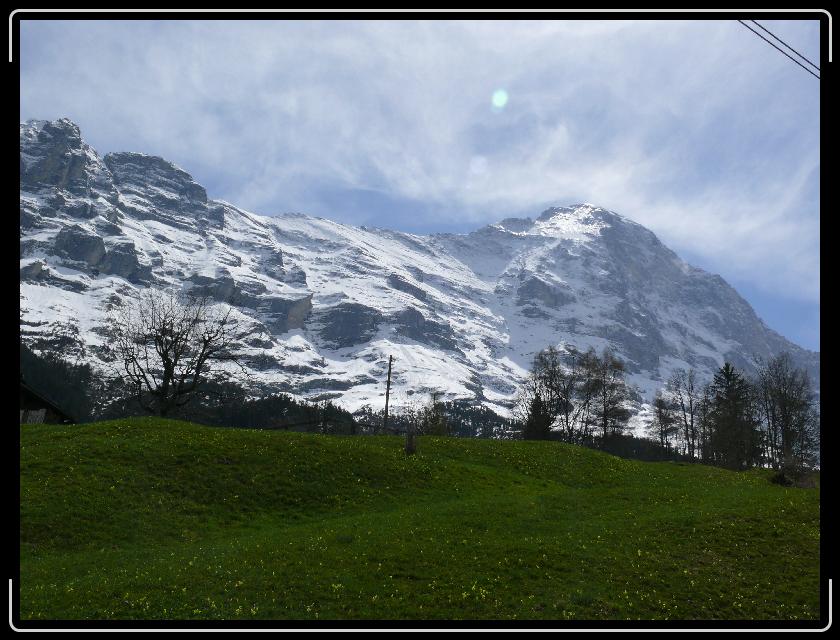 Click for the original image