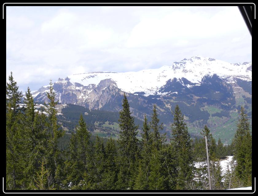 Click for the original image