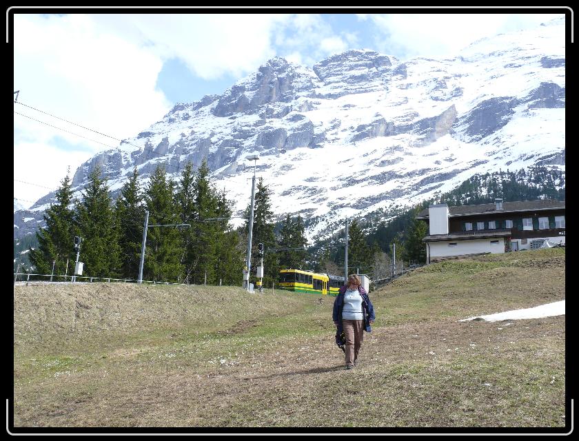 Click for the original image