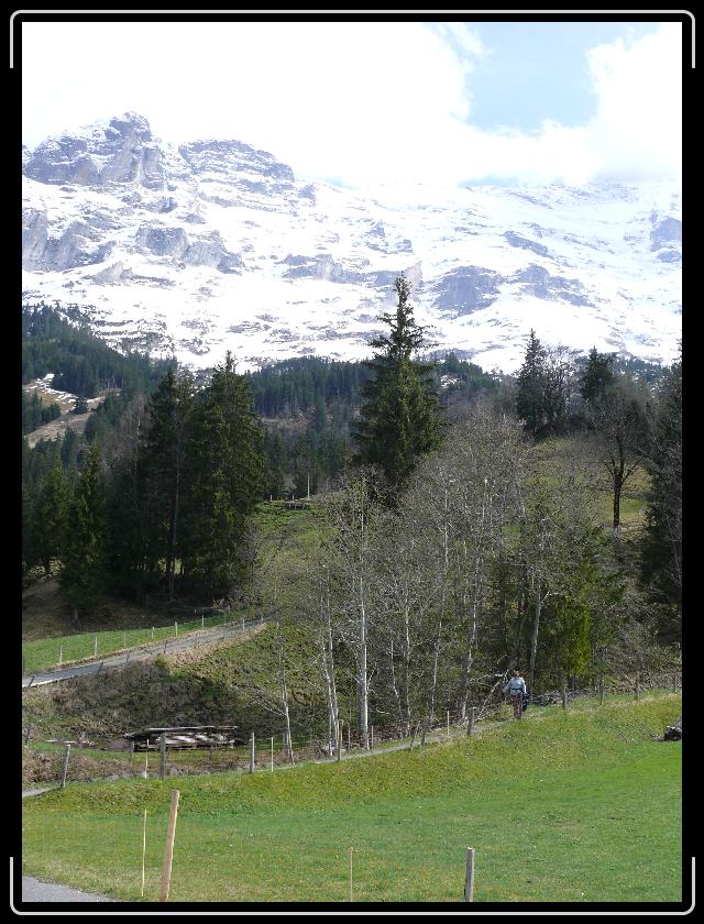 Click for the original image