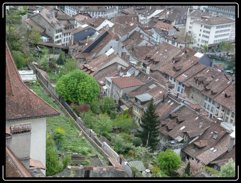 Click for the original image