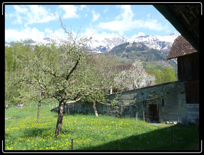 Click for the original image