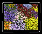 P1010090 * 3648 x 2736