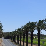 Barossa Valley road