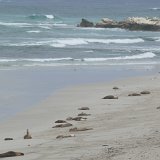Seal Bay Conservation Park, Kangaroo Island