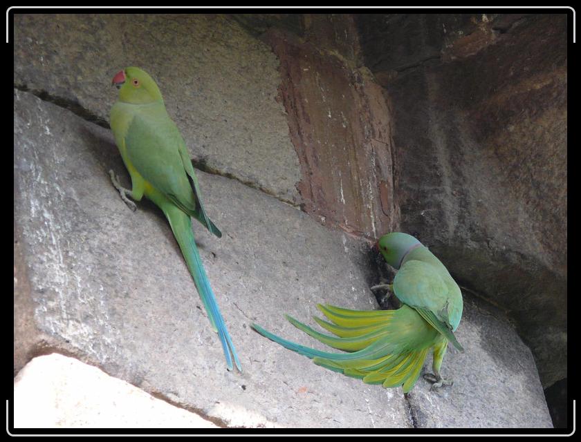 Zum Bild in Originalgr&ouml;&szlig;e hier klicken...