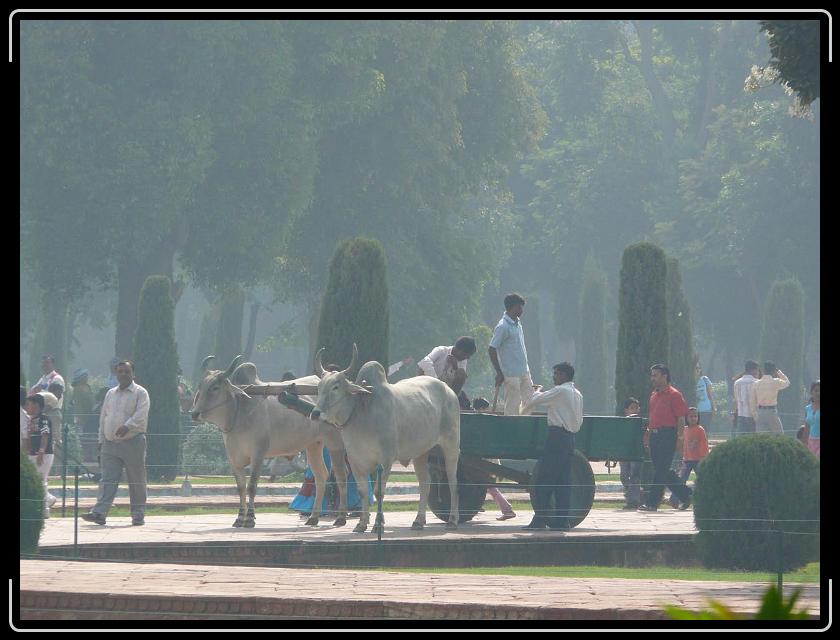 Zum Bild in Originalgr&ouml;&szlig;e hier klicken...