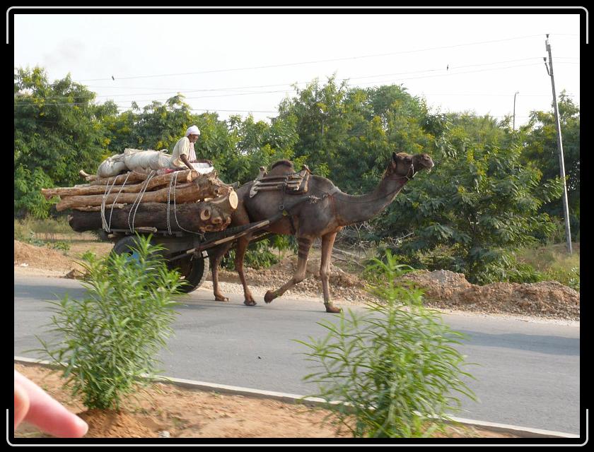 Zum Bild in Originalgr&ouml;&szlig;e hier klicken...