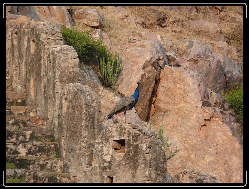 Zum Bild in Originalgr&ouml;&szlig;e hier klicken...