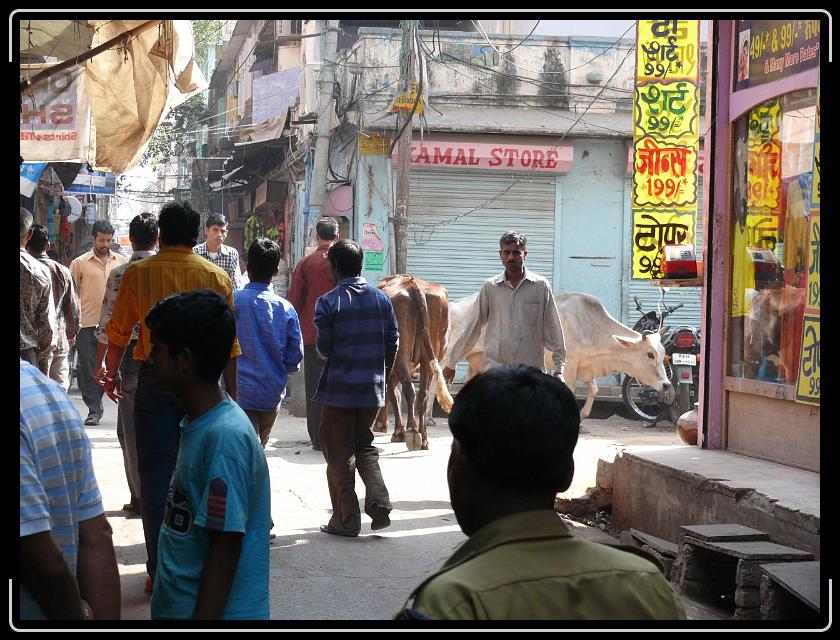 Zum Bild in Originalgr&ouml;&szlig;e hier klicken...