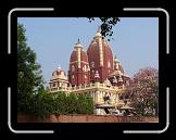 P1000280 * 1280 x 960 * (196KB)