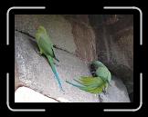 P1000441 * 1280 x 960 * (139KB)