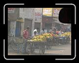 P1000596 * 1280 x 960 * (123KB)