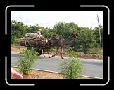 P1000692 * 1280 x 960 * (187KB)