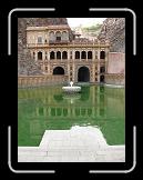 P1000714 * 960 x 1280 * (196KB)