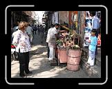 P1000926 * 1280 x 960 * (217KB)