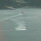 View from Sydney Tower