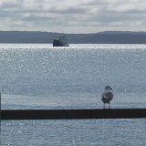 Ferry to Fraser Island