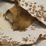 Sand dunes on Fraser Island