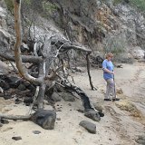 Beach near Kingfisher Resort, Fraser Island