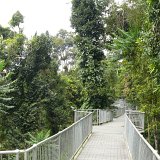 Mamu Rainforest Canopy Walkway