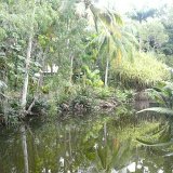 Kewarra Beach Resort, Cairns