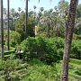 Real Alcázar de Sevilla