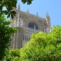 Catredral de Sevilla